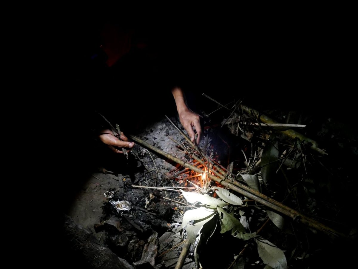 Aventures en pleine jungle