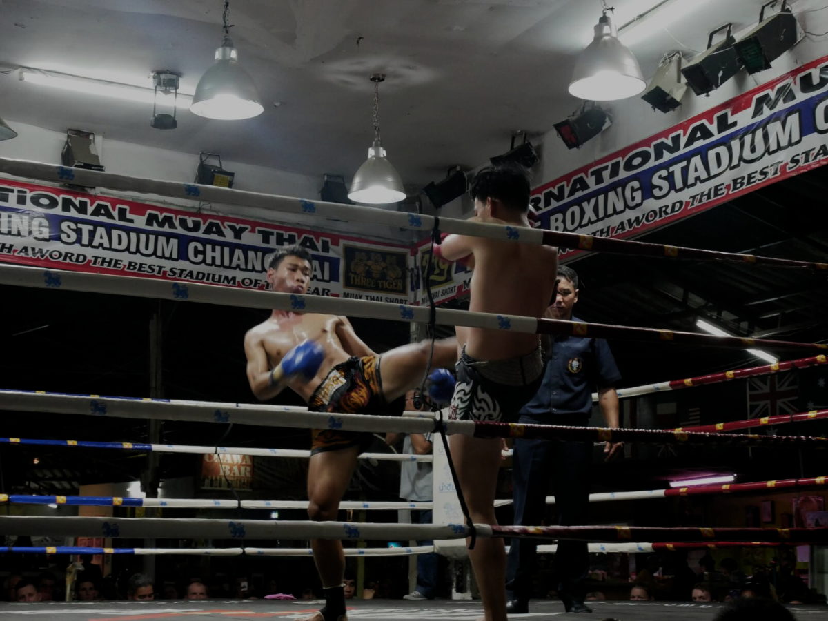 Combats de Muay Thaï en Live !