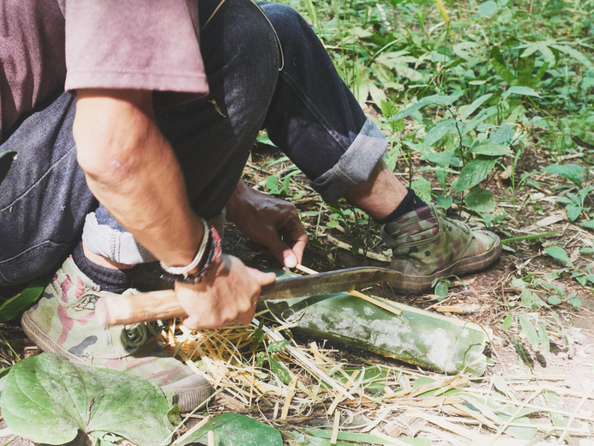 Trek dans la jungle et DIY